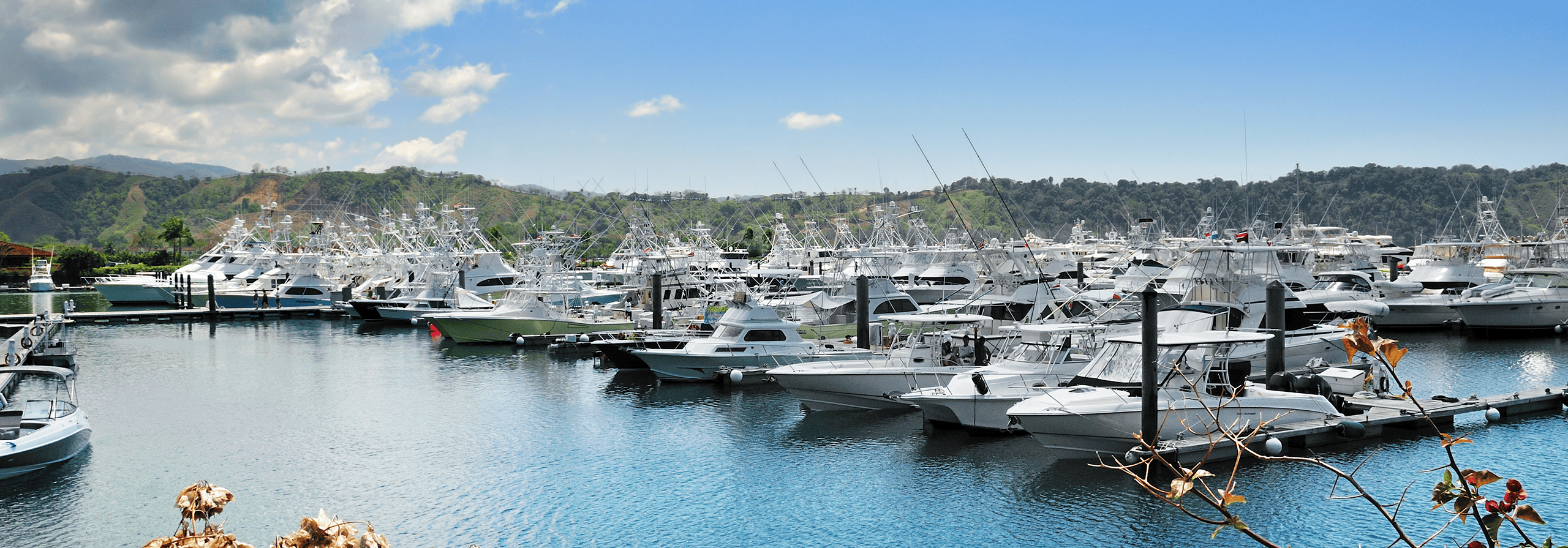 Sportfishing boats in Los Suenos Marina, Raco, Costa Rica, Central America